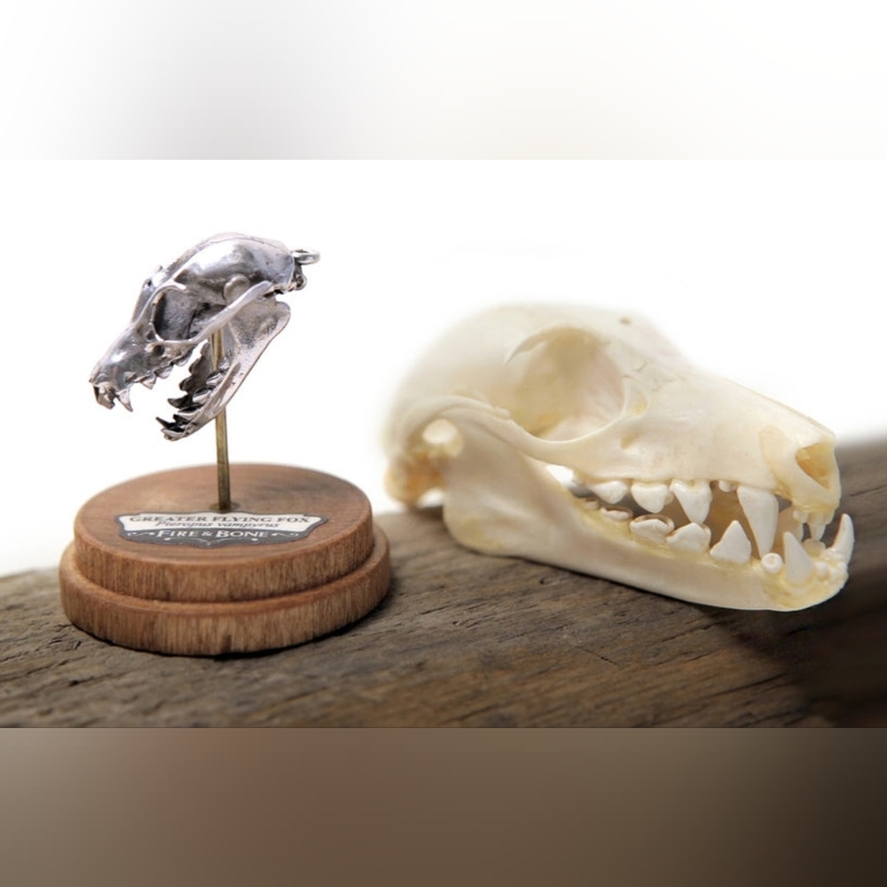 Fire & Bone Sterling Silver Greater Flying Fox Bat Skull Pendant Necklace - Picture 3 of 9